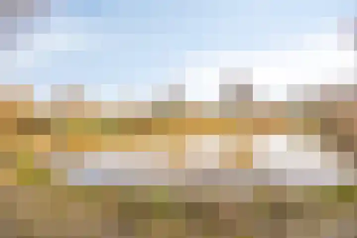 Van Harenmarke 14 Zwolle thumbnail 33