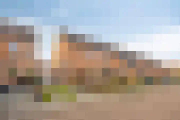 Van Harenmarke 14 Zwolle thumbnail 36