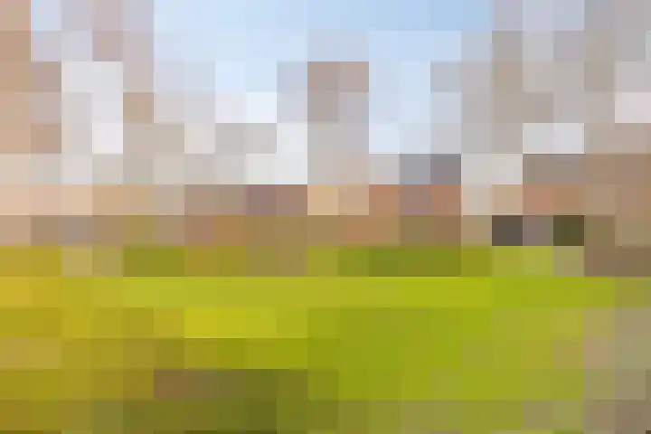 Van Harenmarke 14 Zwolle thumbnail 38