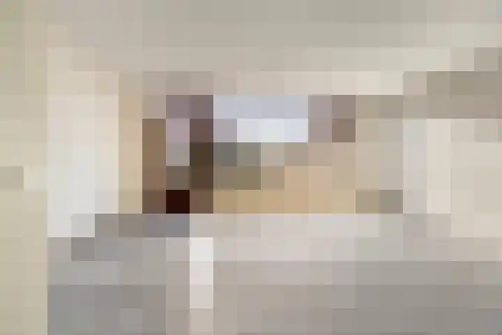 Van Harenmarke 14 Zwolle thumbnail 7