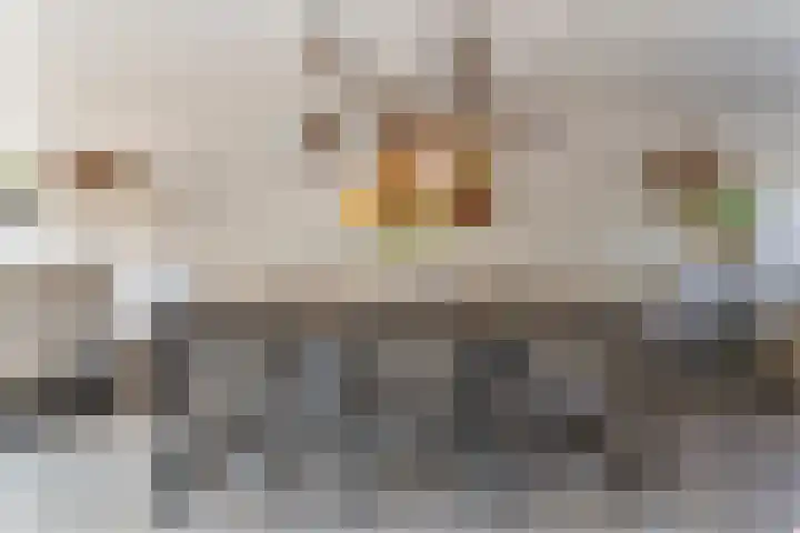 Van Harenmarke 16 Zwolle thumbnail 12
