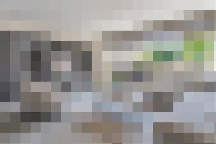 Van Harenmarke 16 Zwolle thumbnail 14