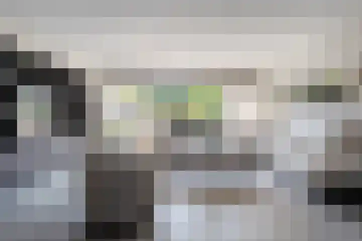 Van Harenmarke 16 Zwolle thumbnail 15