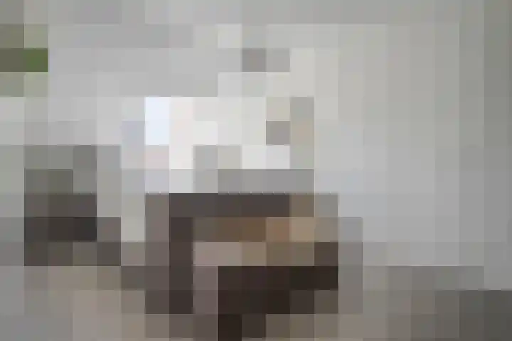 Van Harenmarke 16 Zwolle thumbnail 18