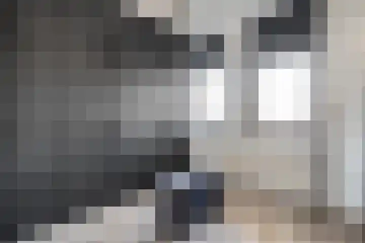 Van Harenmarke 16 Zwolle thumbnail 20