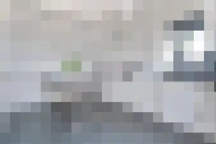 Van Harenmarke 16 Zwolle thumbnail 30