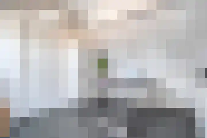 Van Harenmarke 16 Zwolle thumbnail 31