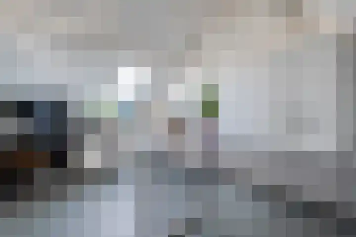 Van Harenmarke 16 Zwolle thumbnail 32