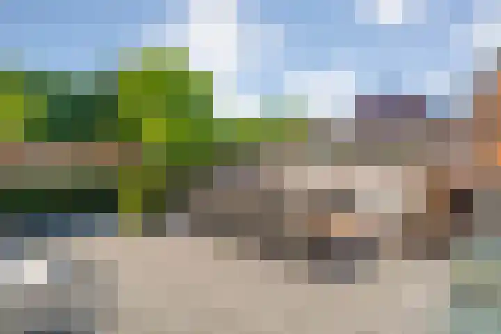 Van Harenmarke 16 Zwolle thumbnail 33