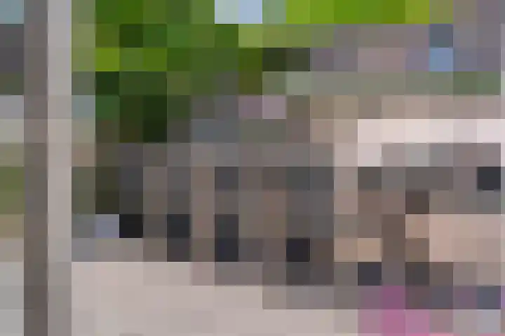 Van Harenmarke 16 Zwolle thumbnail 34