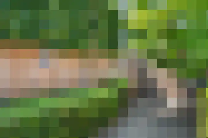 Van Harenmarke 16 Zwolle thumbnail 36