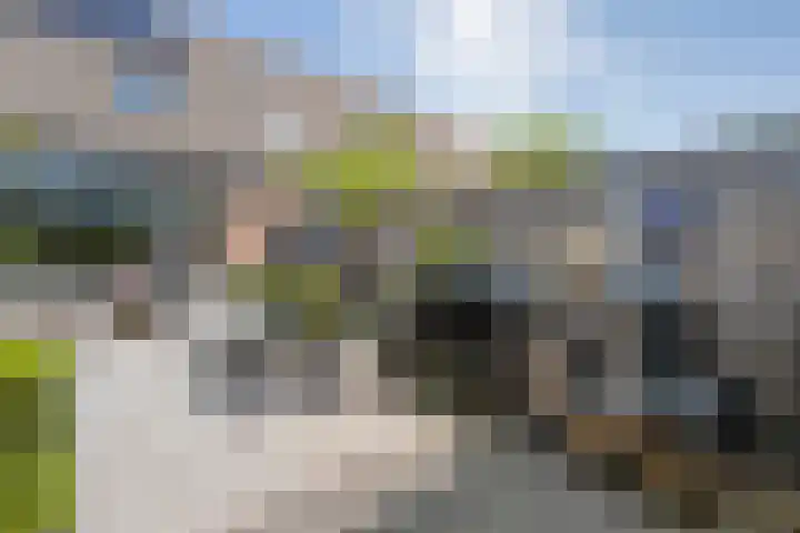 Van Harenmarke 16 Zwolle thumbnail 38