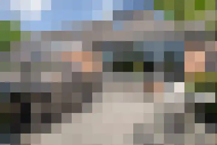 Van Harenmarke 16 Zwolle thumbnail 39