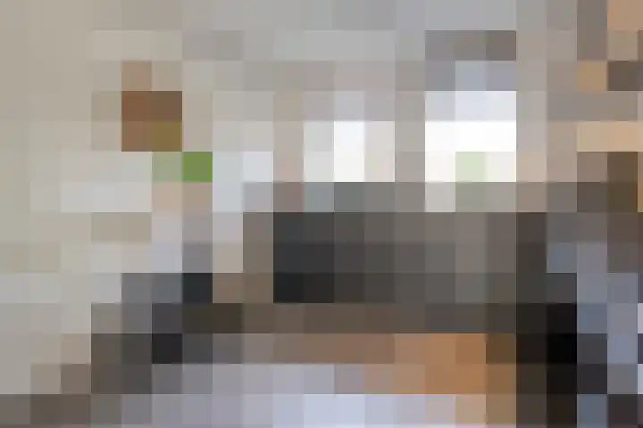 Van Harenmarke 16 Zwolle thumbnail 4