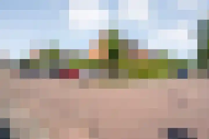 Van Harenmarke 16 Zwolle thumbnail 43