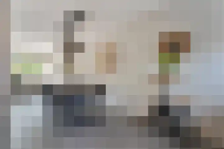 Van Harenmarke 16 Zwolle thumbnail 6