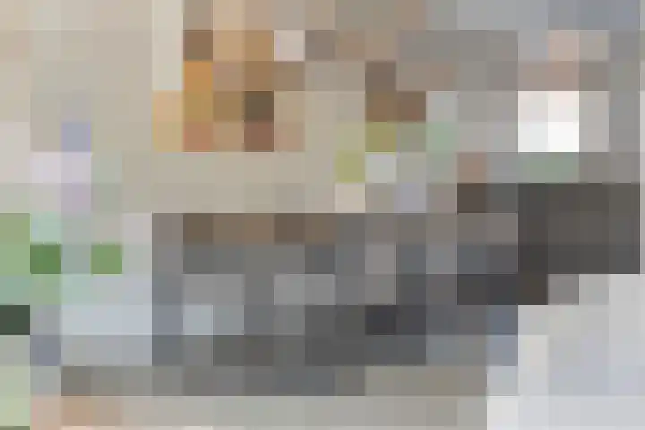 Van Harenmarke 16 Zwolle thumbnail 7