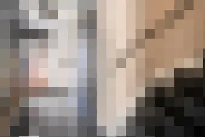 Van Harenmarke 16 Zwolle thumbnail 9