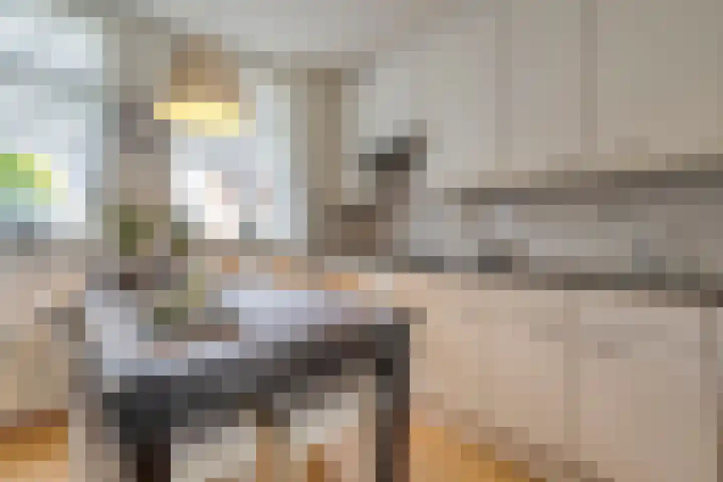 Van Harenmarke 26 Zwolle thumbnail 12