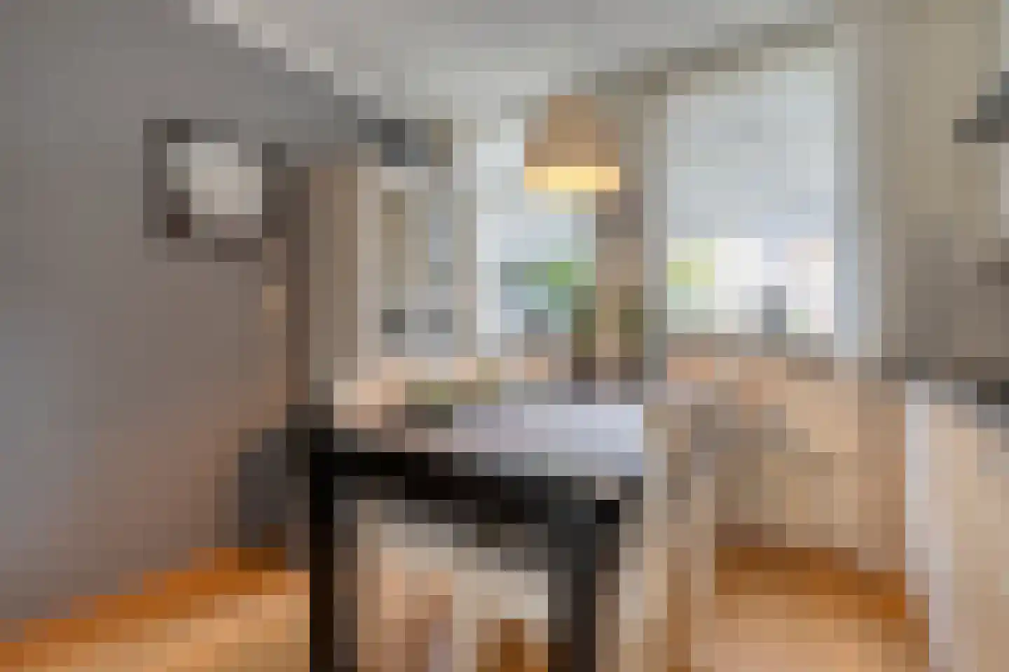 Van Harenmarke 26 Zwolle thumbnail 14