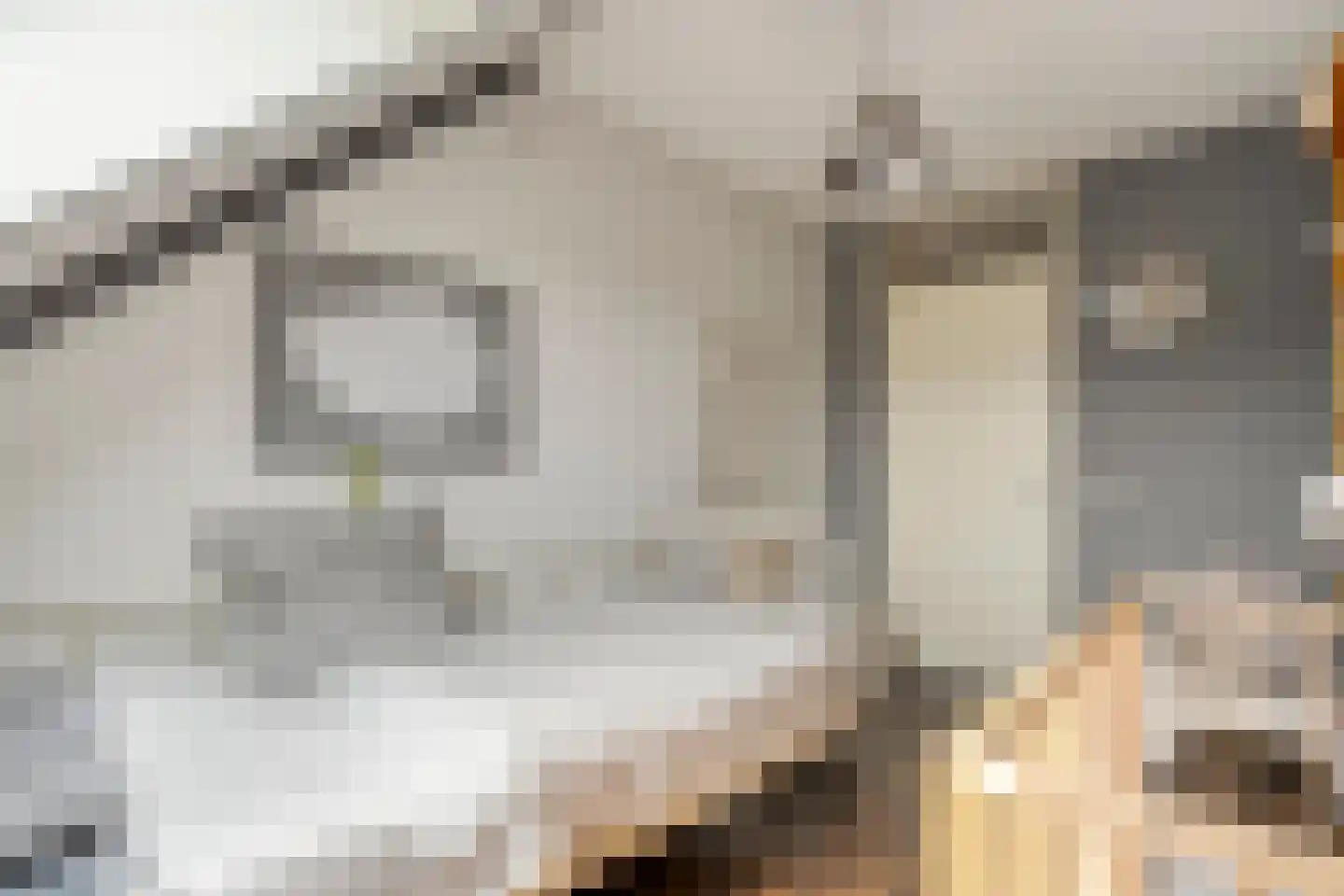 Van Harenmarke 26 Zwolle thumbnail 19
