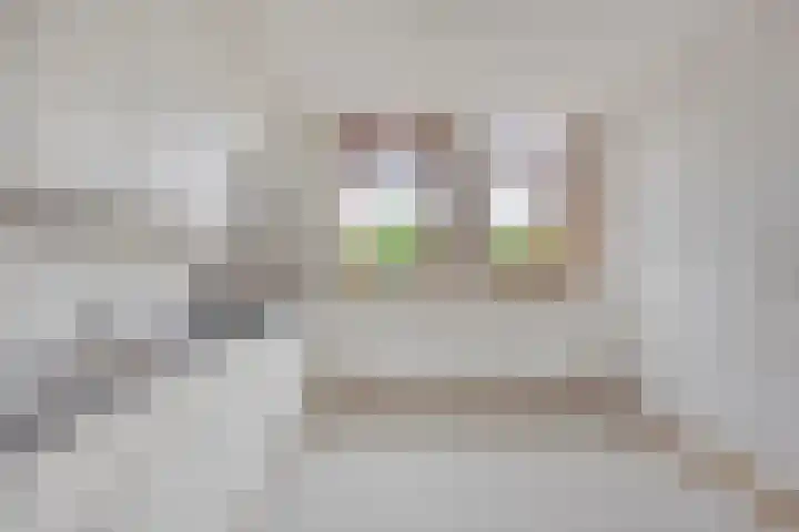 Van Harenmarke 8 Zwolle thumbnail 10