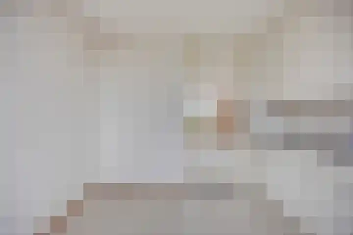 Van Harenmarke 8 Zwolle thumbnail 12