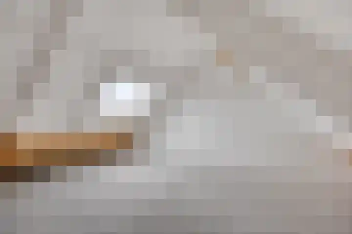 Van Harenmarke 8 Zwolle thumbnail 25
