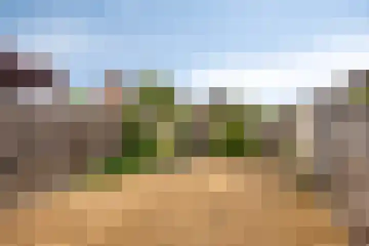 Van Harenmarke 8 Zwolle thumbnail 27