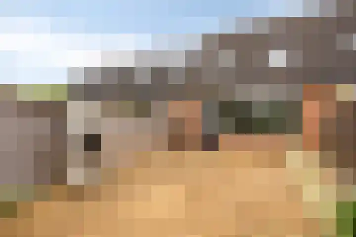 Van Harenmarke 8 Zwolle thumbnail 28