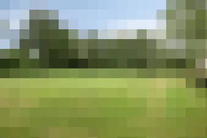 Van Harenmarke 8 Zwolle thumbnail 33