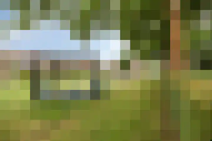 Van Harenmarke 8 Zwolle thumbnail 34