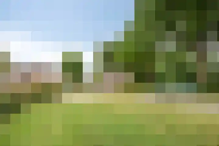 Van Harenmarke 8 Zwolle thumbnail 35