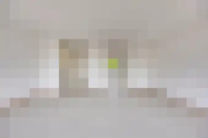 Van Harenmarke 8 Zwolle thumbnail 7