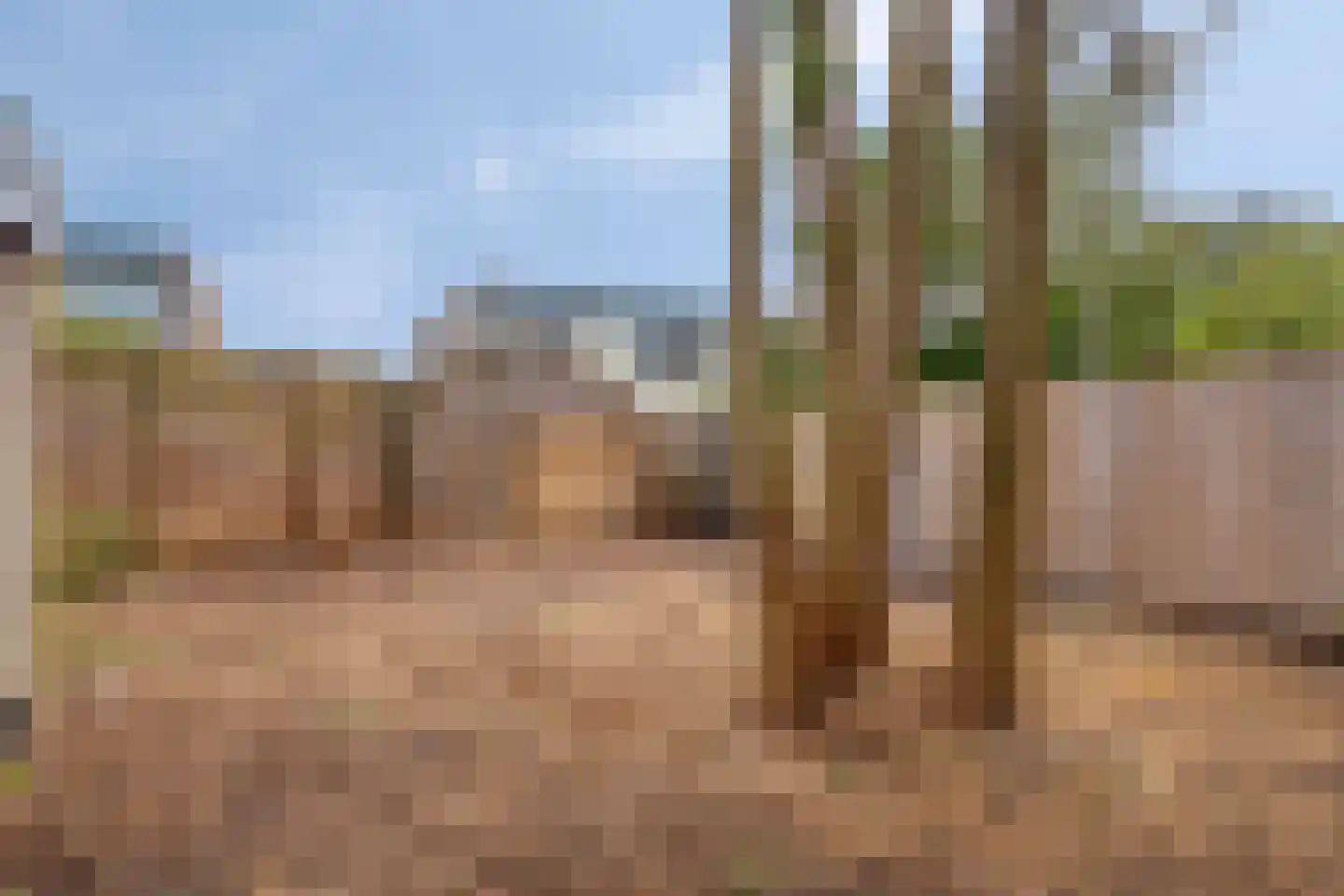 Van Harenstins 11 Almelo thumbnail 24
