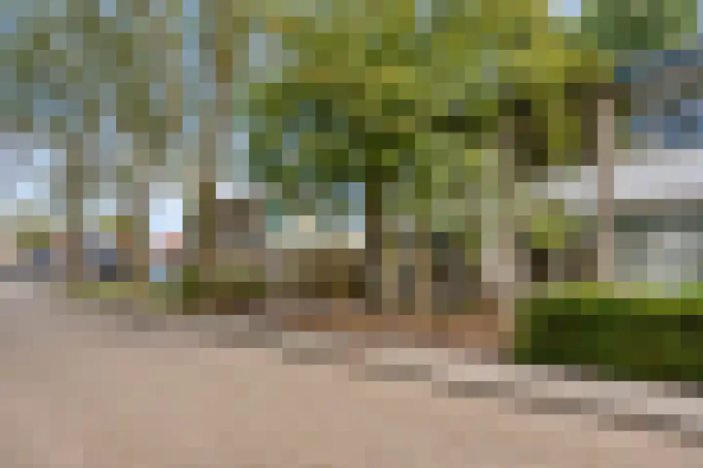 Van Harenstins 11 Almelo thumbnail 5