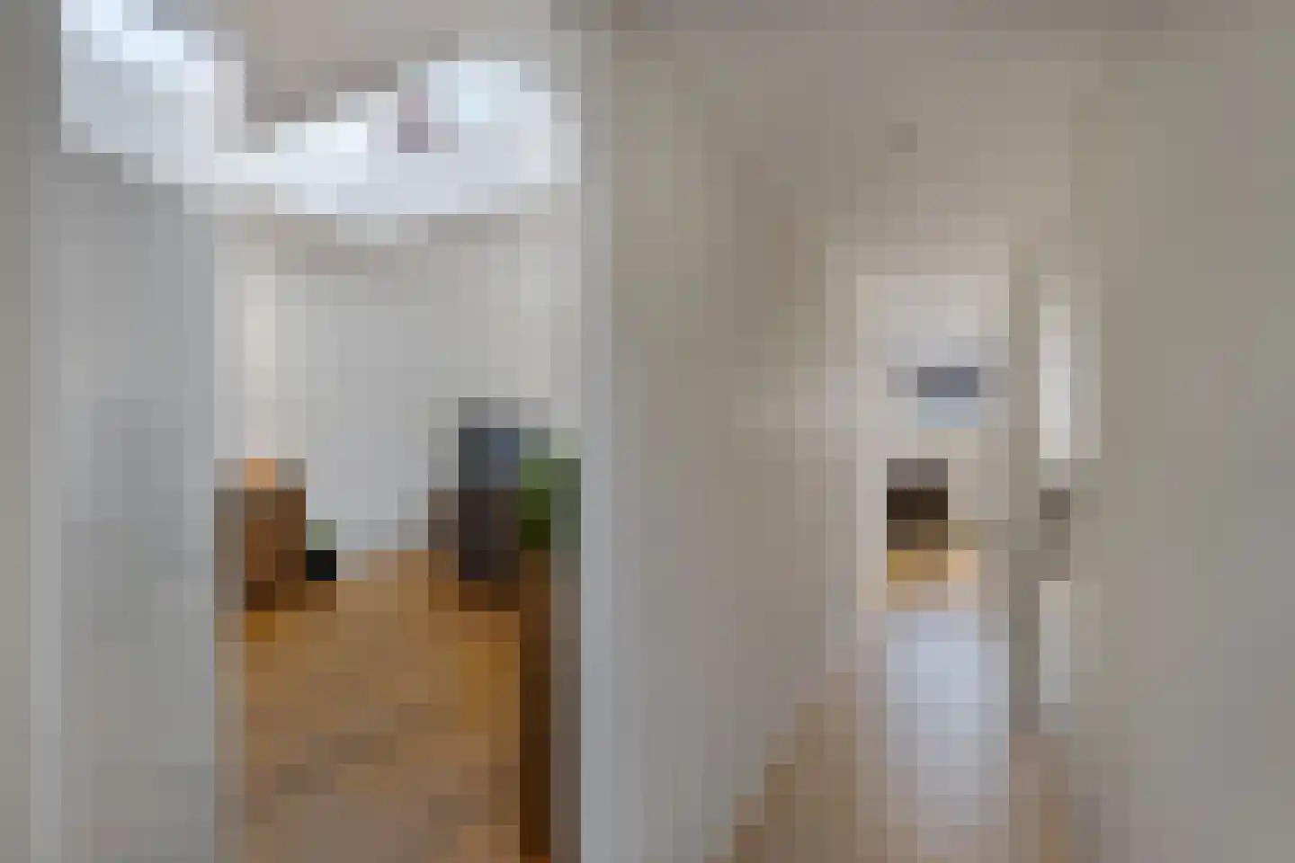 Van Harenstraat 45 Wolvega thumbnail 13