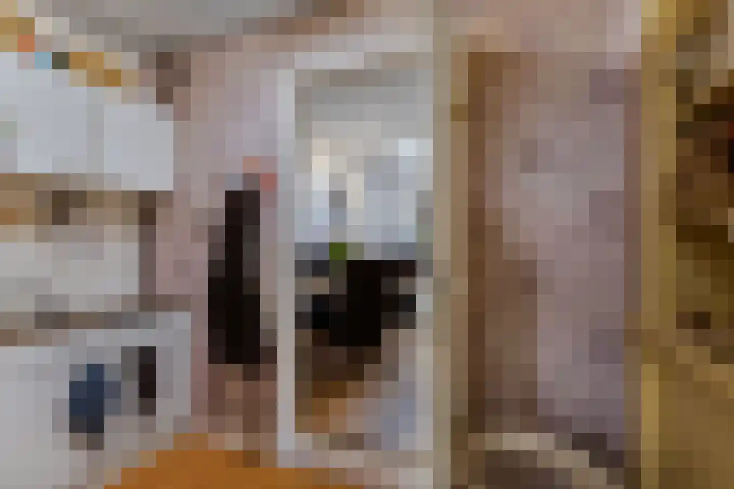 Van Harenstraat 45 Wolvega thumbnail 18