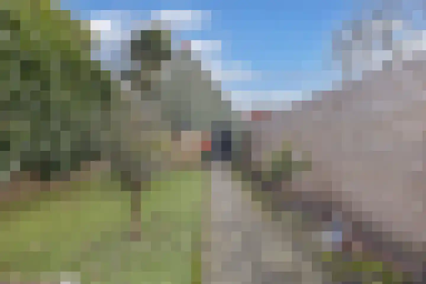 Van Harenstraat 45 Wolvega thumbnail 34