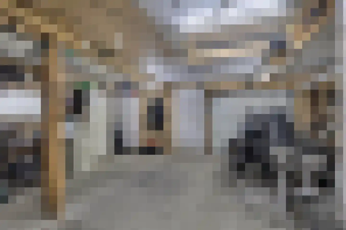 Van Harenstraat 45 Wolvega thumbnail 38