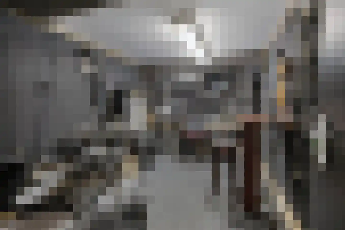 Van Harenstraat 45 Wolvega thumbnail 39