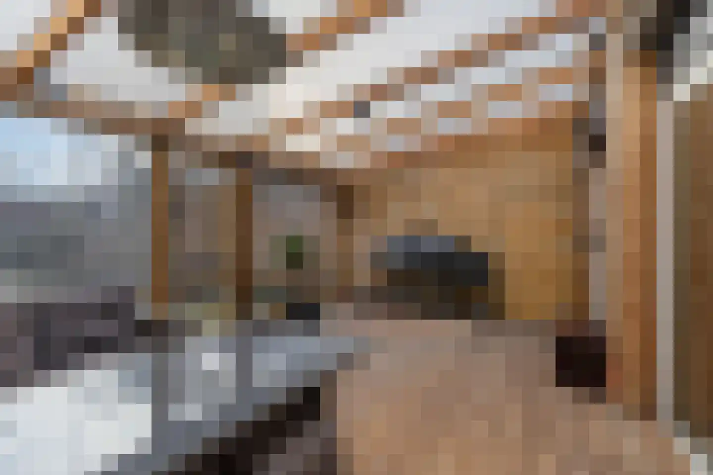 Van Harenstraat 45 Wolvega thumbnail 5