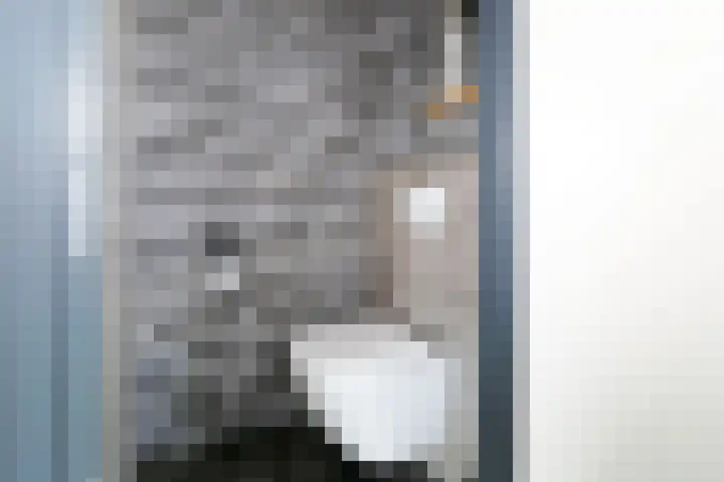 Van Harinxmaloane 35 De Westereen thumbnail 11