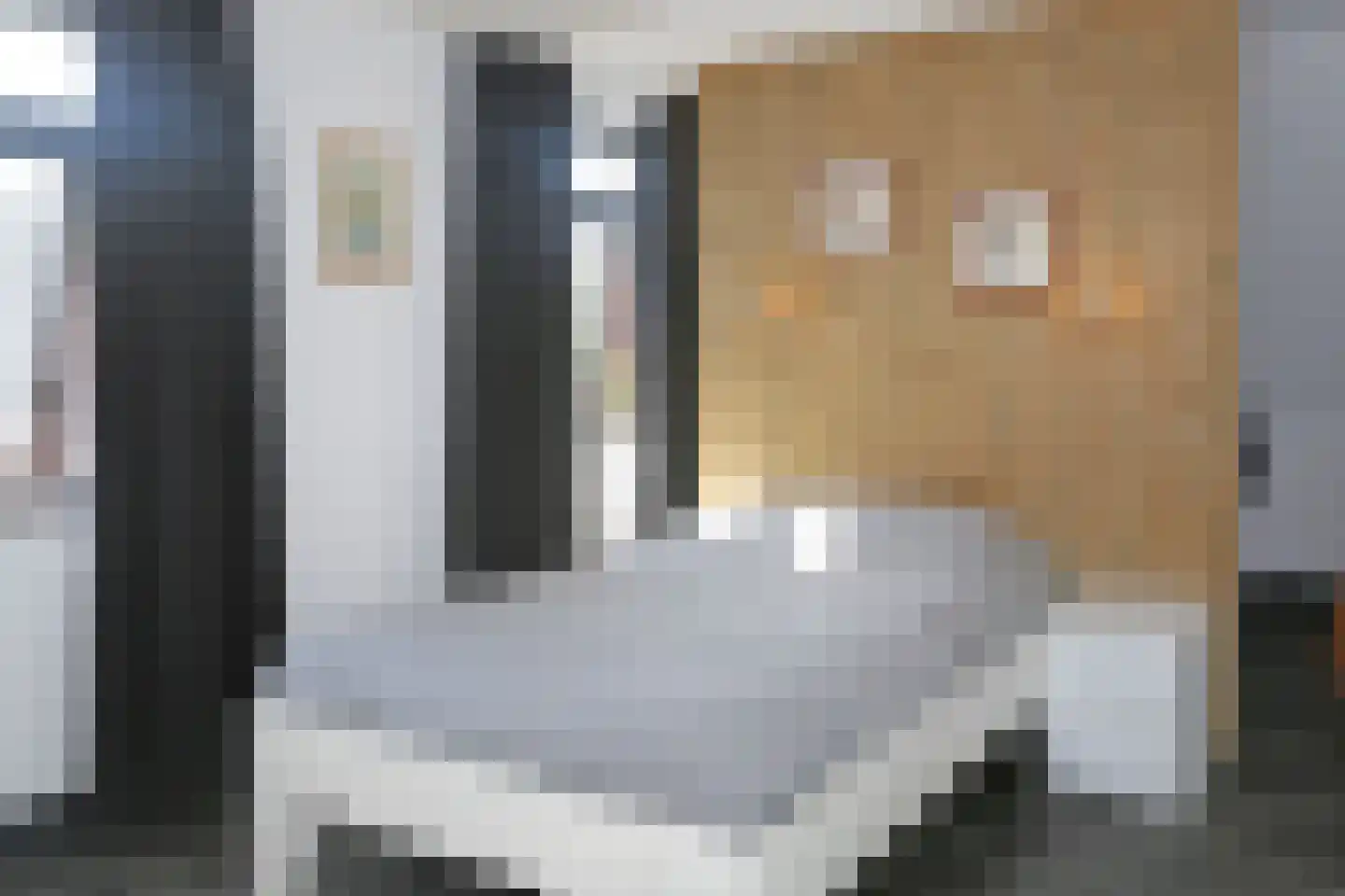 Van Harinxmaloane 35 De Westereen thumbnail 40