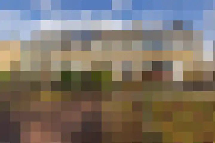 Van Harinxmastrjitte 22 Kootstertille thumbnail 10