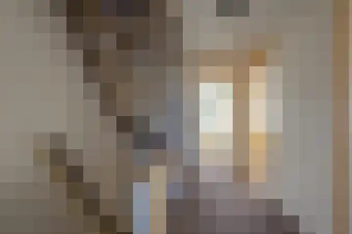Van Harinxmastrjitte 22 Kootstertille thumbnail 27