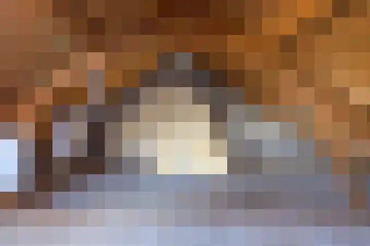 Van Harinxmastrjitte 22 Kootstertille thumbnail 29