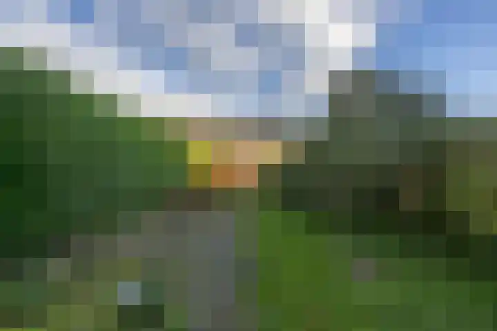 Van Harinxmastrjitte 22 Kootstertille thumbnail 32