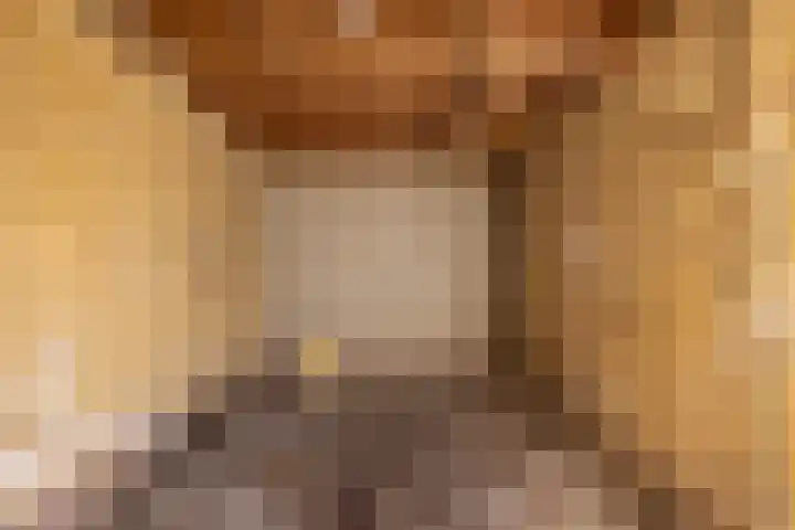 Van Harinxmastrjitte 22 Kootstertille thumbnail 33
