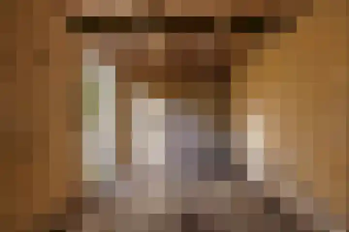 Van Harinxmastrjitte 22 Kootstertille thumbnail 34